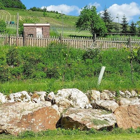 Huettenflair-Mosel Ferienwohnung 恩克里克 外观 照片
