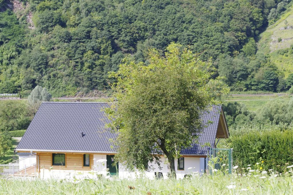 Huettenflair-Mosel Ferienwohnung 恩克里克 外观 照片