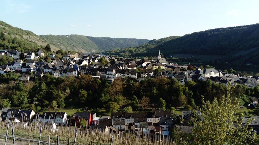 Huettenflair-Mosel Ferienwohnung 恩克里克 外观 照片